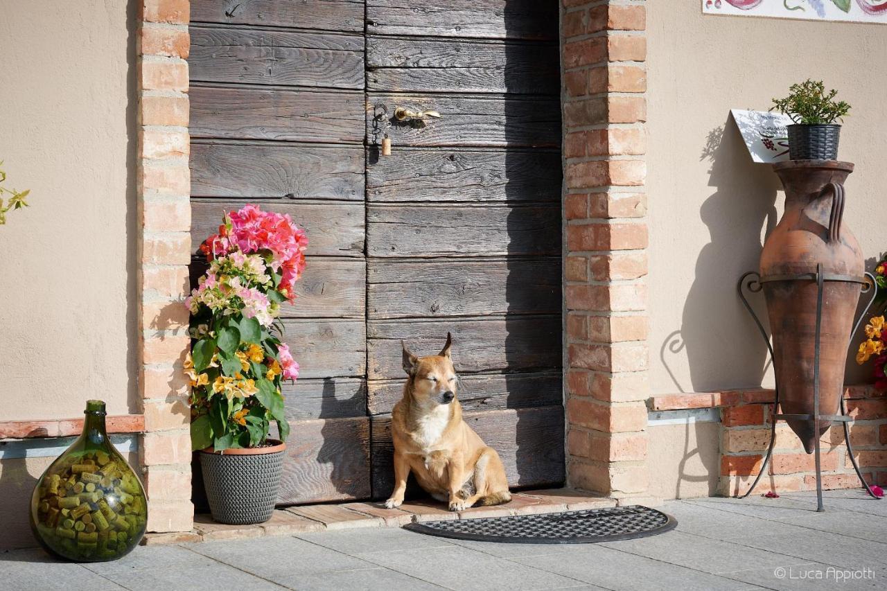 Agriturismo Cascina Sciulun Monforte dʼAlba Eksteriør bilde
