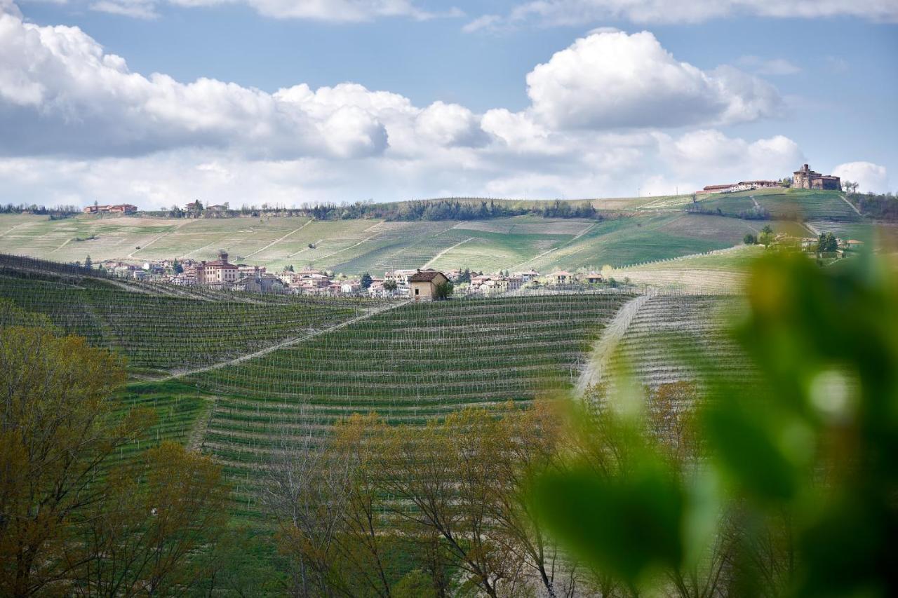 Agriturismo Cascina Sciulun Guest House Monforte dʼAlba Eksteriør bilde